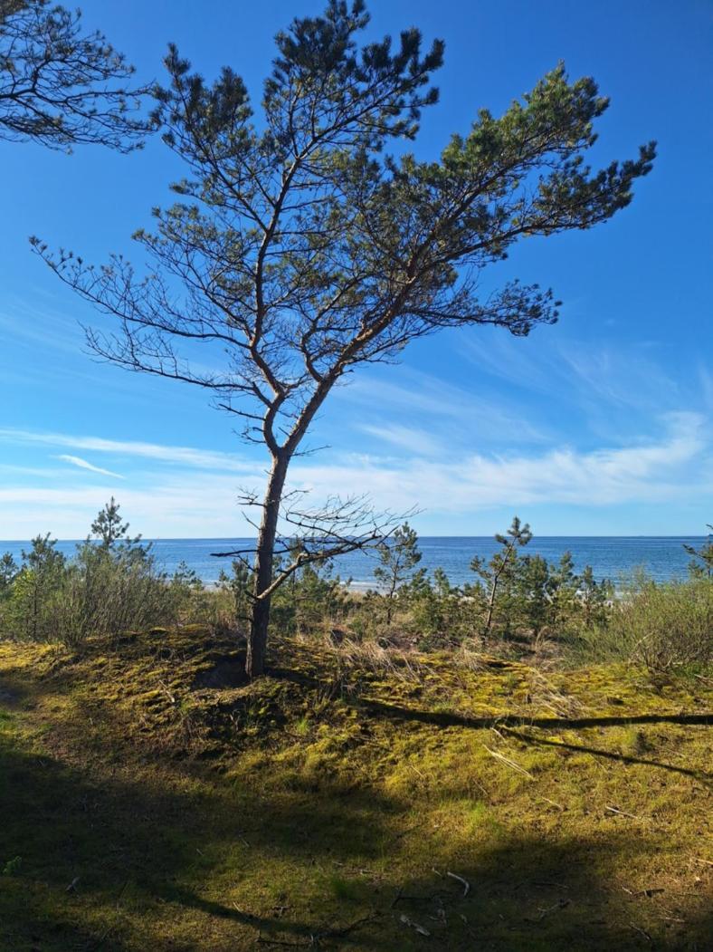 Helios Hotel Dębki Buitenkant foto